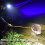 LED Sensor Headlamp Headlight Zoom Head Torch Outdoor USB Camping 6
