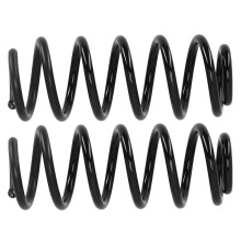 2x Coil Spring Rear Suspension for Smart Fortwo 451 2007- Black Coating