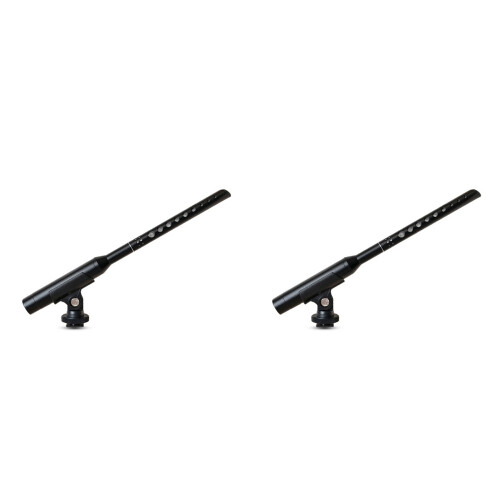 2X Hanging Microphone Recording Studio Teaching Multimedia School Chorus Recording Speech Condenser Hanging Microphone