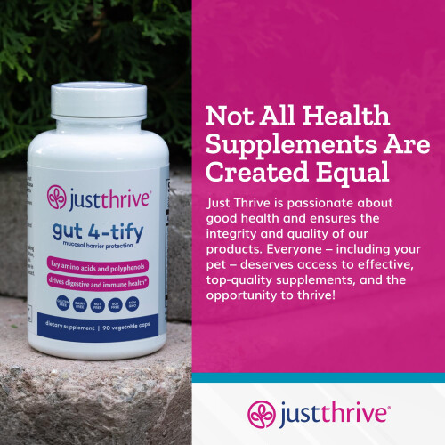 Just Thrive Gut 4-tify 90 Vegetable Capsules 1