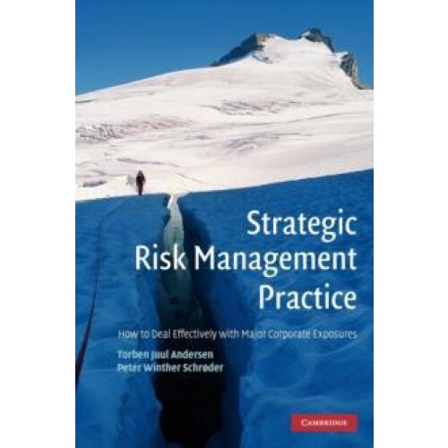 Strategic Risk Management Practice How to Deal Effectively with Major