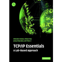 TCPIP Essentials A LabBased Approach by Shivendra Panwar Paperback Boo