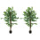 Homcom Ficus Artificiale Verde 15 x 15 x 150 cm 1