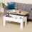 Homcom Mesa Centro Elevable Bicolor 100 x 50 x 58.5 cm 2