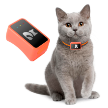 (G68p) Localizzatore GPS per Cani e Gatti Impermeabile con App Gratuita – Tracciamento in Tempo Reale, Allarme Perimetrale, Cronol
