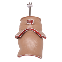 2X Anatomisch model Menselijk rectaal letselmodel Fistel Fistel Fissuur Pathologie Onderwijsmodel