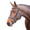 (Full, Black) Velociti Rapida Leather Training Horse Bridle 1