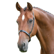 (Pony, Black) Blenheim Leather Horse Cavesson Noseband