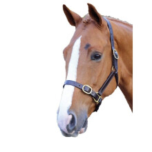 (Cob, Havana) Blenheim Leather Adjustable Horse Headcollar