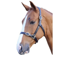 (X Full, Black) Blenheim Leather Adjustable Horse Headcollar