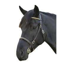 (Full, Black) Blenheim Leather Clincher Horse Inhand Bridle