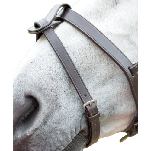 (Full, Havana) Blenheim Leather Horse Flash Strap