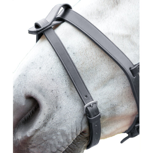 (X Full, Black) Blenheim Leather Horse Flash Strap