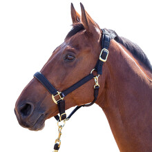 (X Small Pony, Black) Shires Topaz Nylon Horse Headcollar