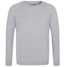 (13 Years, Grey) Awdis Childrens/Kids Academy Raglan Sweatshirt