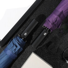 12 Rippen Handheld Klappbar Schirm Winddicht Kompaktes Reisen, Automatisches ÖFfnen / SchließEn GroßE Regenschirme für Herren Damen-Lila