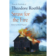 Straw for the Fire From the Notebooks of Theodore Roethke by Theodore