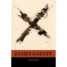 X by James Galvin Paperback Book