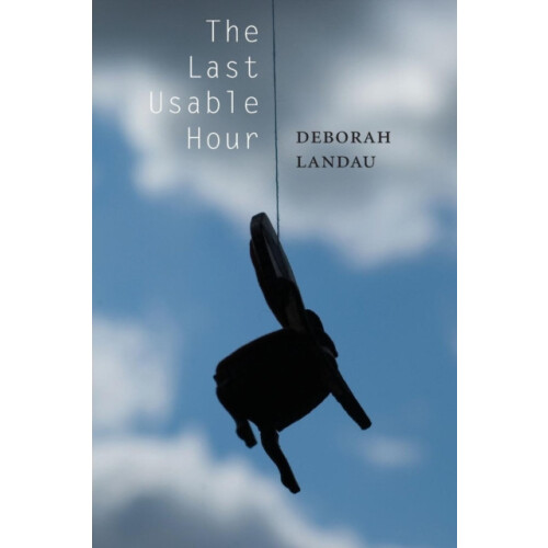 The Last Usable Hour by Deborah Landau Paperback Book