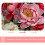 Πατάκι μπάνιου με αφρό μνήμης Brilliant Peony 20x31 ιντσών, μαλακό, αντιολισθητικό, γρήγορο 2