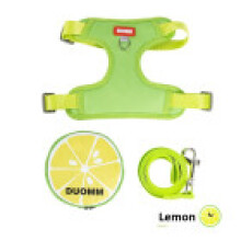 (Green, XS) Small Shape Fruit Dog Nylon Pet Chest Harness With Flexible Leash Daily Walks For