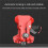 Portable Self-Locking Power Tool Holster: Quick Release Belt Clip with Double Lock System 2