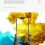 Displayschutzfolie mit Positionierungshilfe Transparent  iPhone 11/XR 5