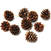 Mini Pine Cones Natural Brown 12 Pcs 1.57 Inch