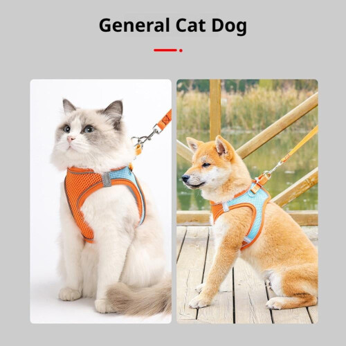Reflective Cat Leash for Walking 2