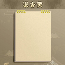 WZXPWT Loose Leaf Notebook Writing Folder 1 Pack