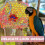 Wooden Bird Perch Multi-Colored for Parakeets and Cockatiels 3