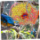Wooden Bird Perch Multi-Colored for Parakeets and Cockatiels 7