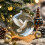Cardinal Bird Crystal Glass Ornament Set 4