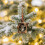 Squirrel Christmas Ornament Acrylic 3.15 inch 7