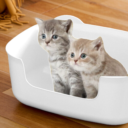 Large Cat Litter Box with High Sides and Low Entry 1