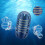 Demineralization Cartridge Filter for Humidifiers 10 Pack 6
