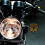Motorcycle LED Headlight Spotlight 12-80V Compact 3