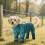 Waterproof Dog Boots Small Medium Adjustable Anti-Slip 6
