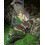 Speero SPEERO Adjustable Rod Sleeve DPM 1