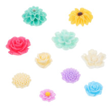 Topbathy Kawaii Resin Magnets Assorted Colors 10 Set