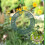 Hanging Garland Bird Feeder Waterproof Clear 4