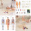 Transparent Human Torso Model Educational Anatomy Kit with 3