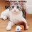 Interactive Cat Toy Automatic Mouse Battery Powered 5