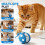 Leutsin Interactive Dog Toy Auto Rolling Ball with Rope 1