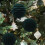 Green Flocked Christmas Balls 10 cm 2 pcs 4