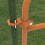 T Post Gate Hinges with 5/8 Inch Pin 2 Pieces 3