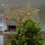 Christmas Tree Topper Star Gold White Plastic 10 Inch 5