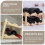 Wooden Bottle Rack Foldable Countertop Stand 4-Bottle 6