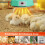 Digital Chick Brooder Heater with Remote Control and 6