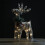 Glowing Reindeer Ornament Warm White Light 8x14 inch 6